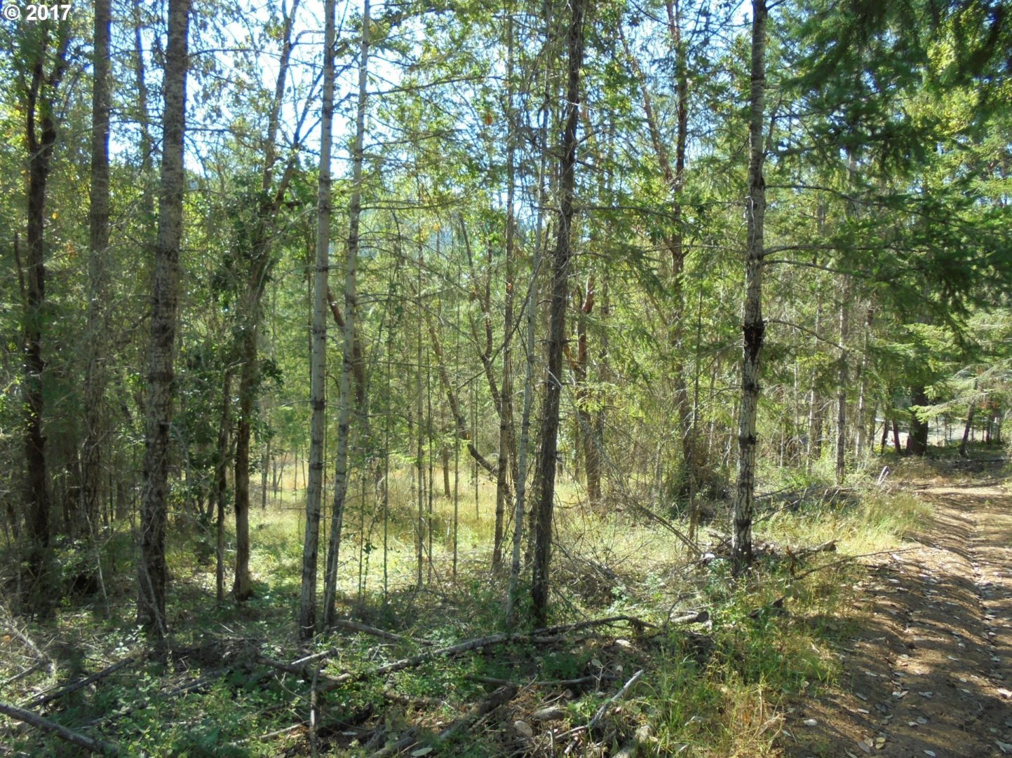 1021 Byron Creek Road Winston, OR 97496 - Photo 11 of 11