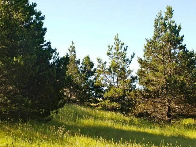 23896 Carpenterville Road Brookings, OR 97415 - Photo 10 of 13