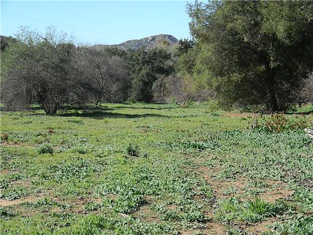 0 Couser Canyon Road Valley Center, CA 92082 - Photo 6 of 10