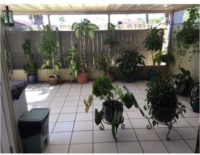 14113 Southwest 55th Street Miami, FL 33175 - Photo 4 of 6