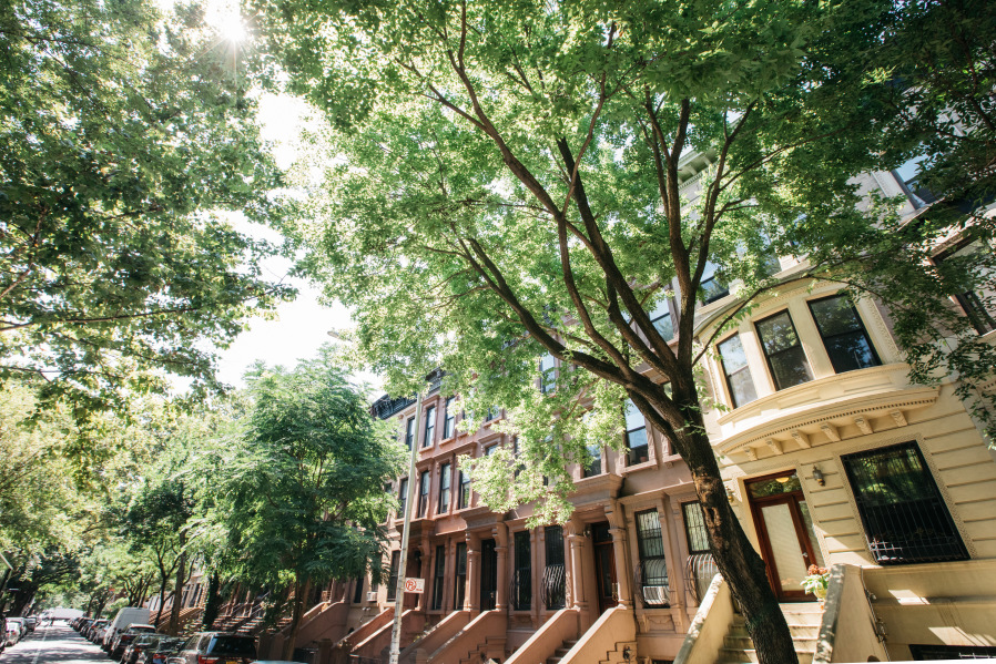 154 West 120th Street Manhattan, NY 10026 - Photo 21 of 23