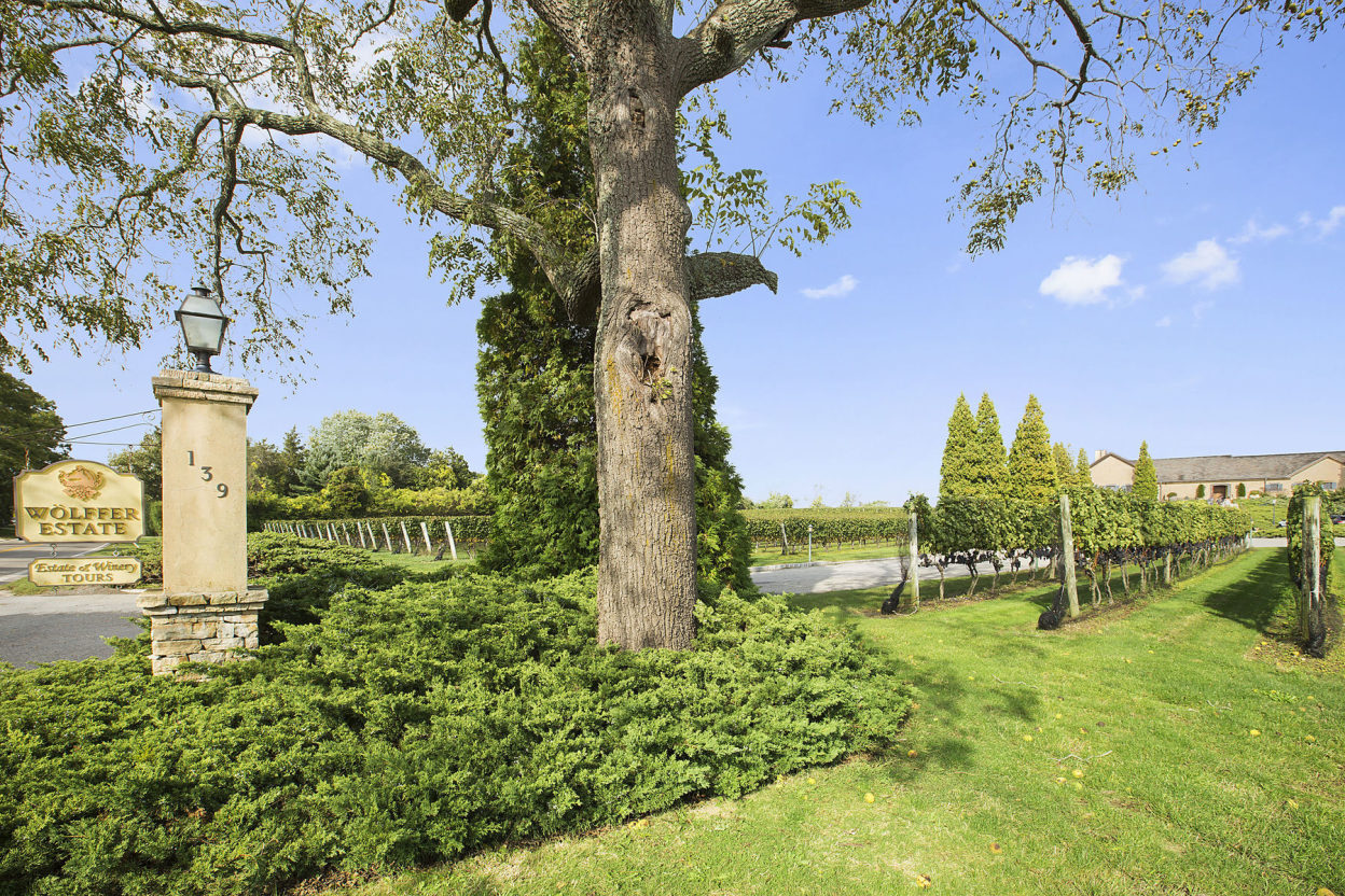 6 Sagg Road Sagaponack, NY 11962 - Photo 19 of 21