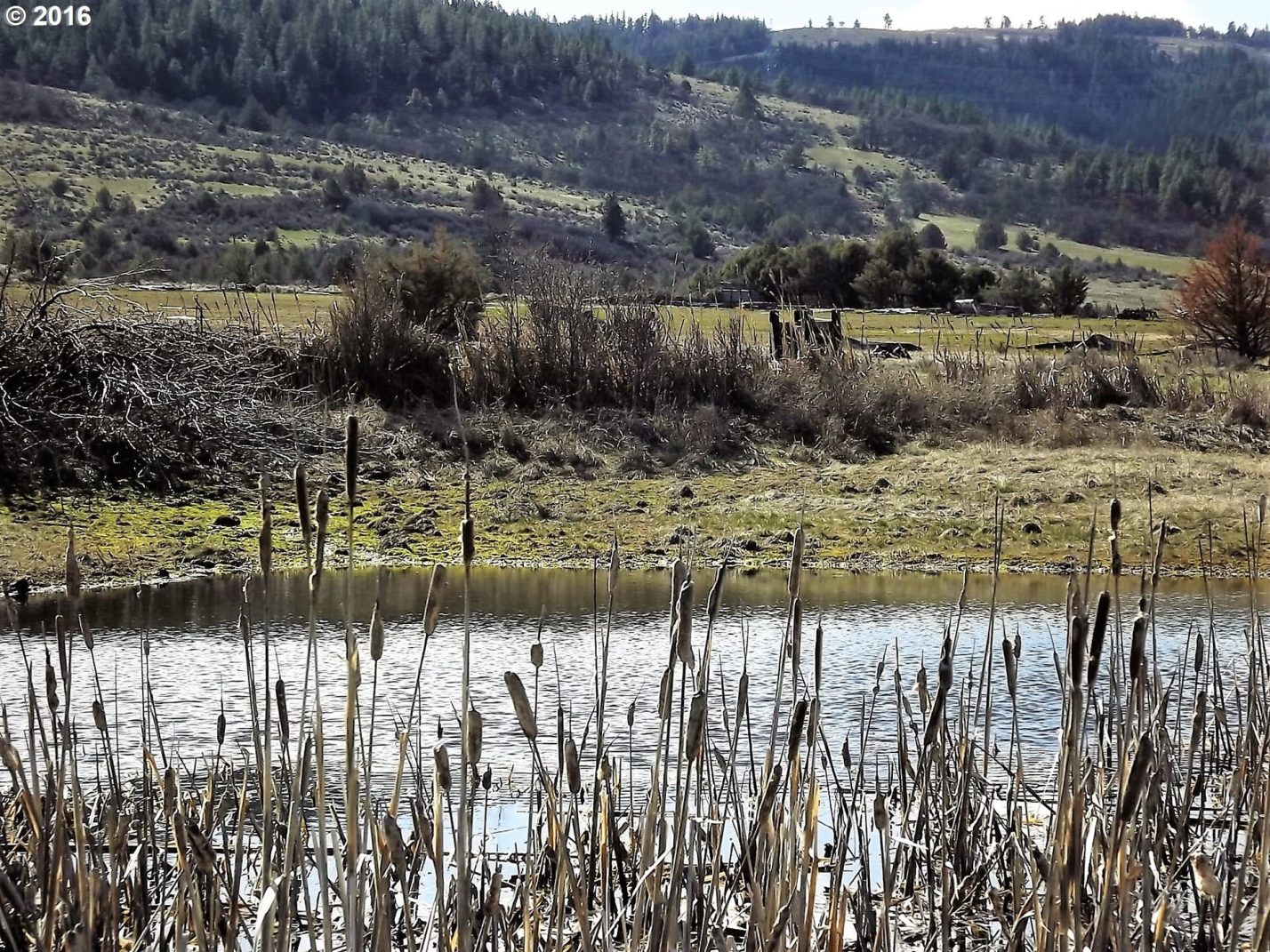 Walters Road Maupin, OR 97037 - Photo 21 of 24 Gallery Image 21