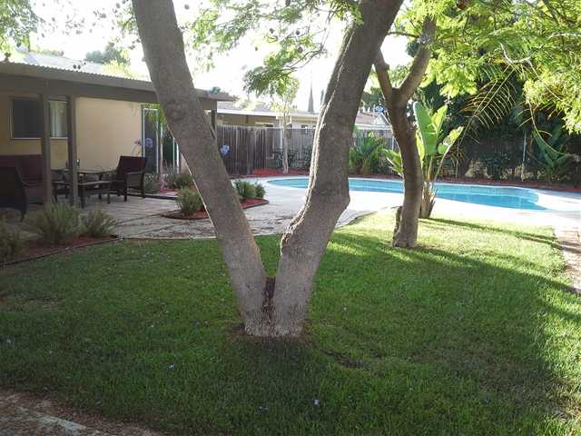 733 Broadview Street Spring Valley, CA 91977 - Photo 4 of 8 Gallery Image 4
