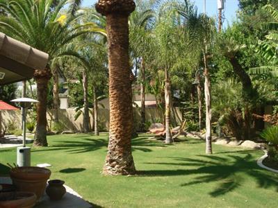 314 Mt Lowe Drive Bakersfield, CA 93309 - Photo 4 of 19