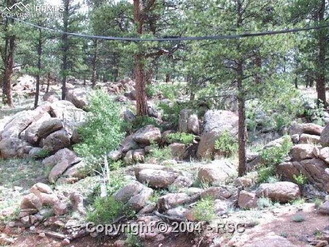 38416 Tarryall Road Lake George, CO 80827 - Photo 4 of 9 Gallery Image 4