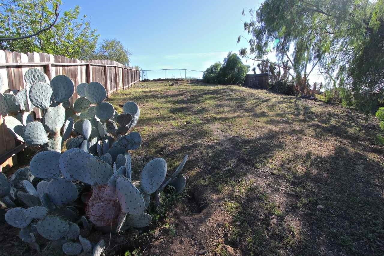 9115 Rosedale Drive Spring Valley, CA 91977 - Photo 23 of 24 "The Back 40"