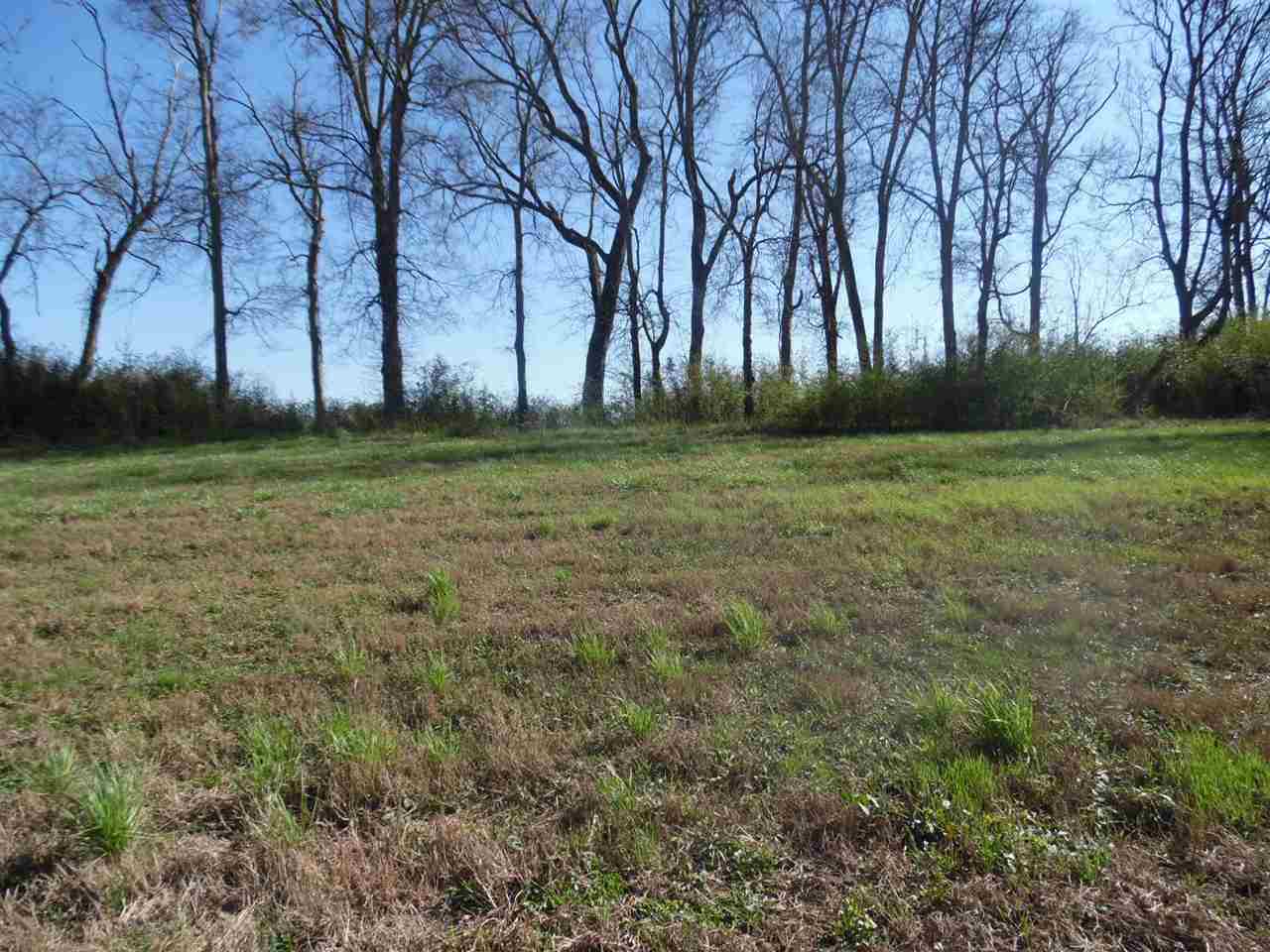 95 River Breeze Estates Road Savannah, TN 38372 - Photo 6 of 10
