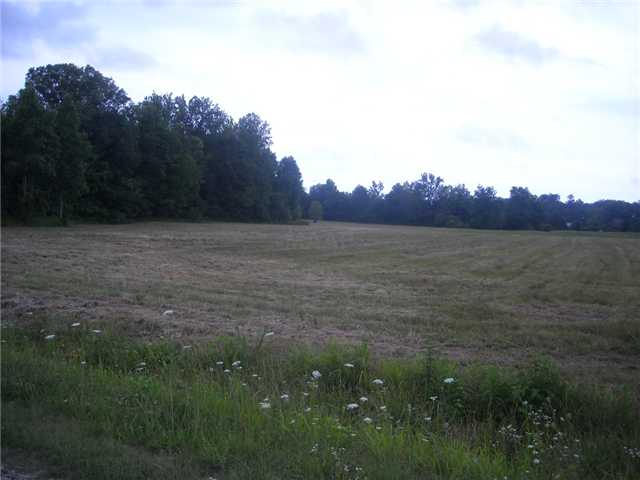 8065 Coffee Landing Road Morris Chapel, TN 38361 - Photo 1 of 7 Gallery Image 1