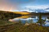 $10,500,000 | 3305 County Rd 96