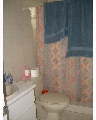 11261 Southwest 203rd Terrace Miami, FL 33189 - Photo 5 of 7