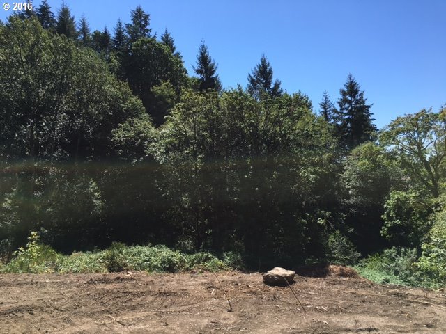259 Large Road Kalama, WA 98625 - Photo 20 of 23 Gallery Image 20