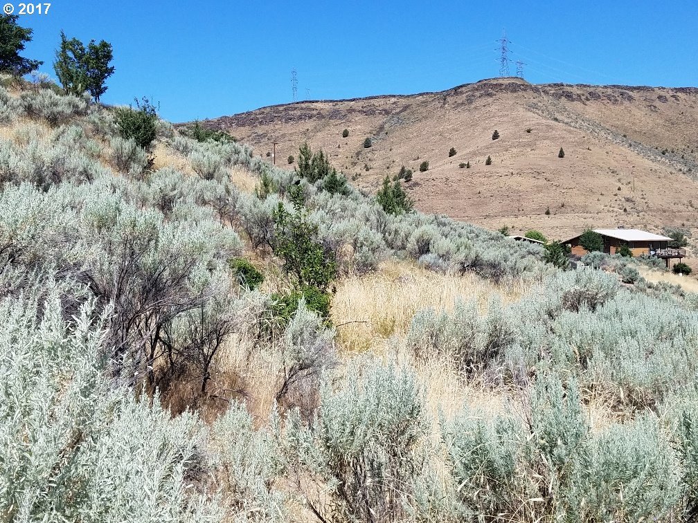 505 Gray Eagle Road Maupin, OR 97037 - Photo 5 of 8 Gallery Image 5