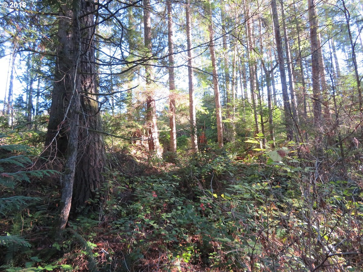 Wayne Road, Unit 2 Seabeck, WA 98380 - Photo 11 of 32 Gallery Image 11