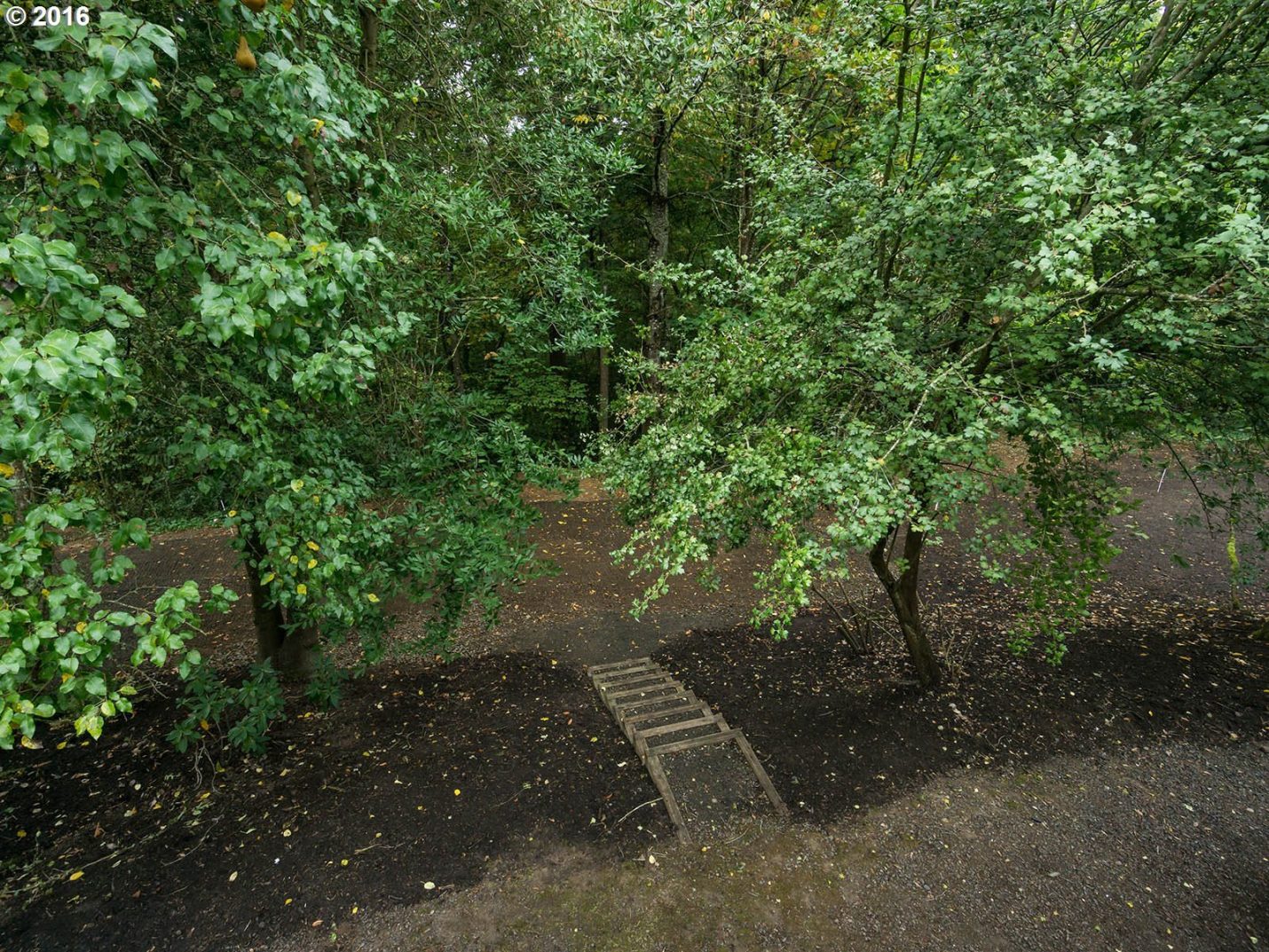 8600 Southwest Leahy Road Portland, OR 97225 - Photo 4 of 16 Gallery Image 4