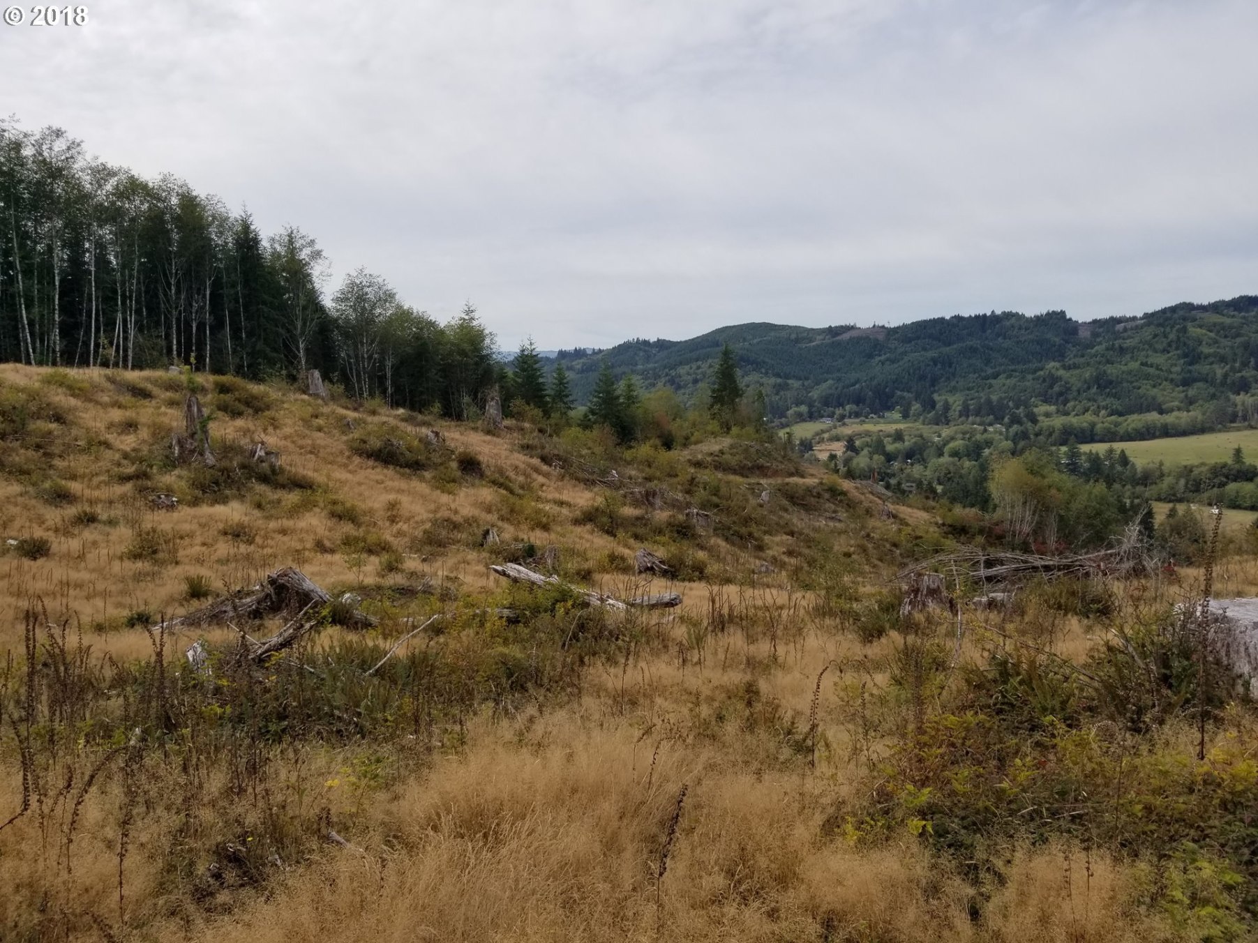 Elochoman Valley Cathlamet, WA 98612 - Photo 26 of 26