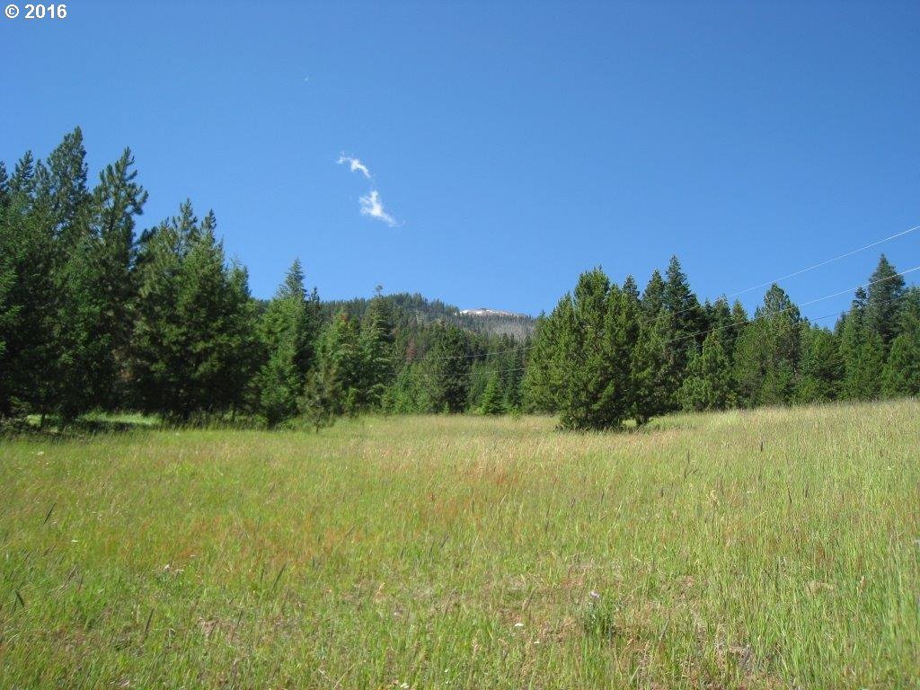 61099 Old Ski Run Road Joseph, OR 97846 - Photo 12 of 17 Gallery Image 12