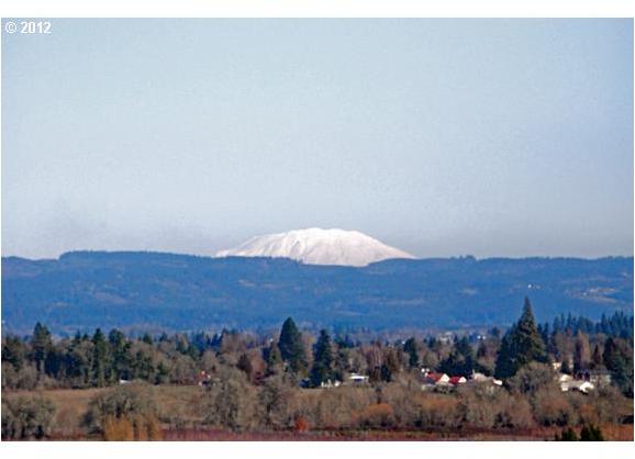 45525 Southwest Plumlee Road Forest Grove, OR 97116 - Photo 6 of 16