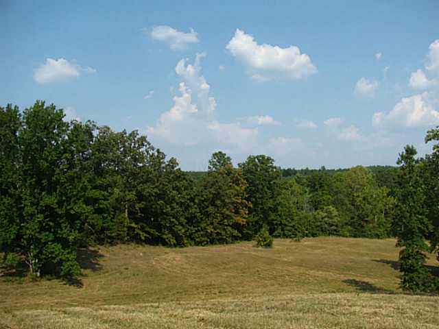3 Riva Ridge Road Savannah, TN 38372 - Photo 1 of 16