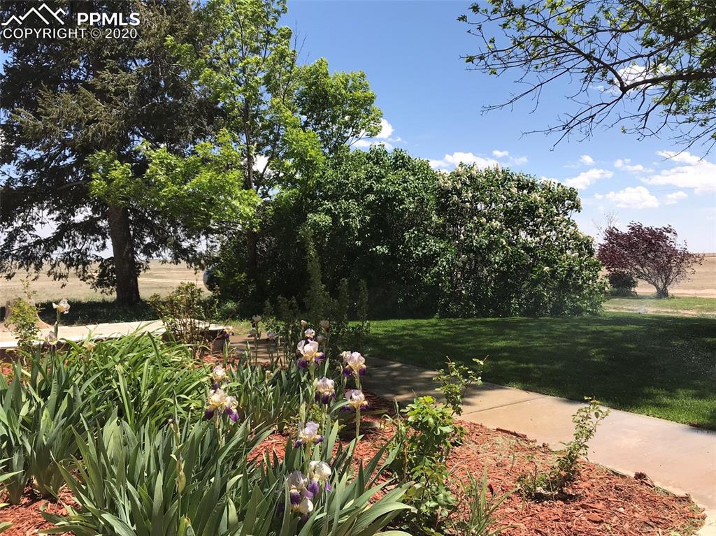 8750 Berridge Road Calhan, CO 80808 - Photo 31 of 36 View of plentiful floral gardens in front of home.