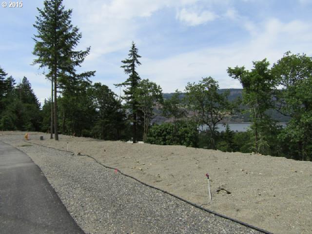 5th Avenue, Unit 10 Mosier, OR 97040 - Photo 13 of 16 Gallery Image 13