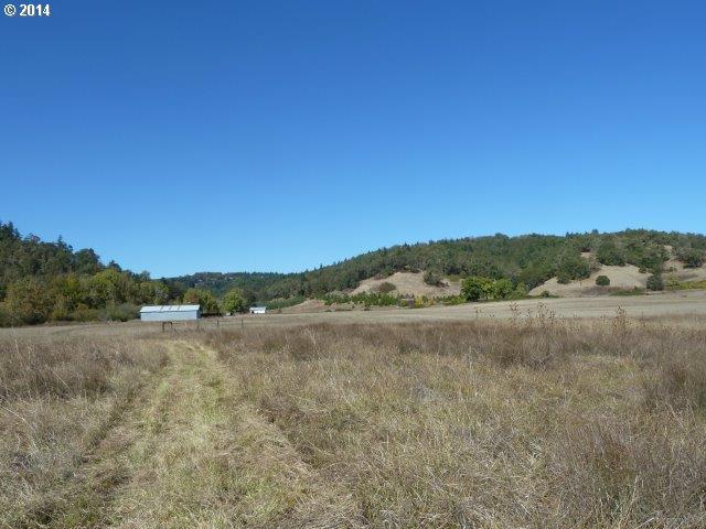 971 Wilcox Road Oakland, OR 97462 - Photo 6 of 16 Gallery Image 6