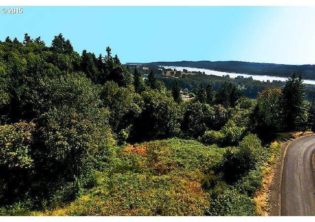 259 Large Road Kalama, WA 98625 - Photo 1 of 23 Gallery Image 1