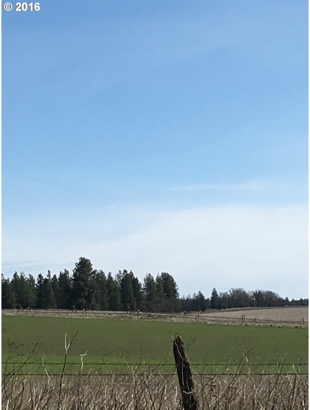 Whispering Pines Goldendale, WA 98620 - Photo 6 of 12