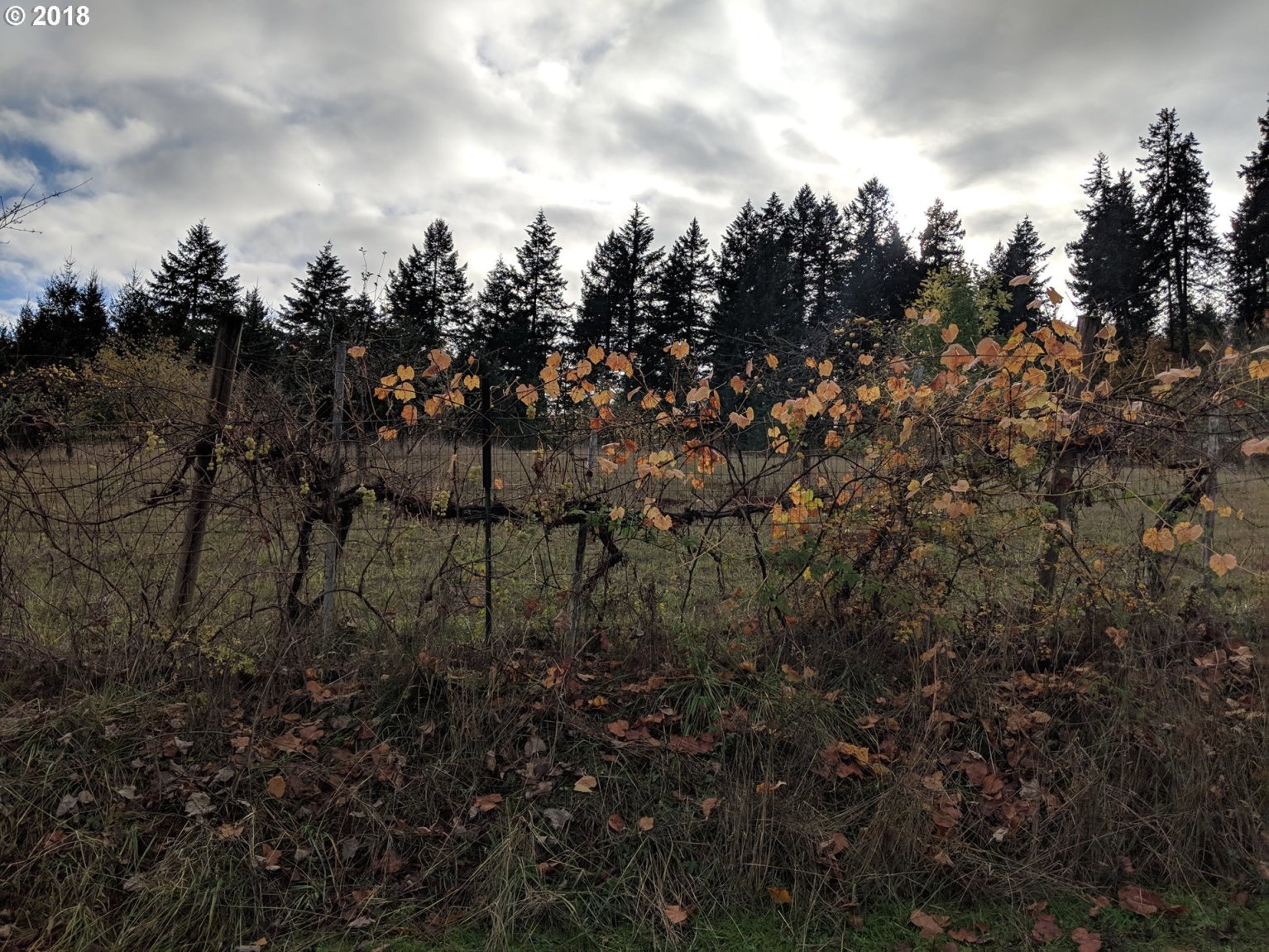 16240 Oakdale Road Dallas, OR 97338 - Photo 26 of 30