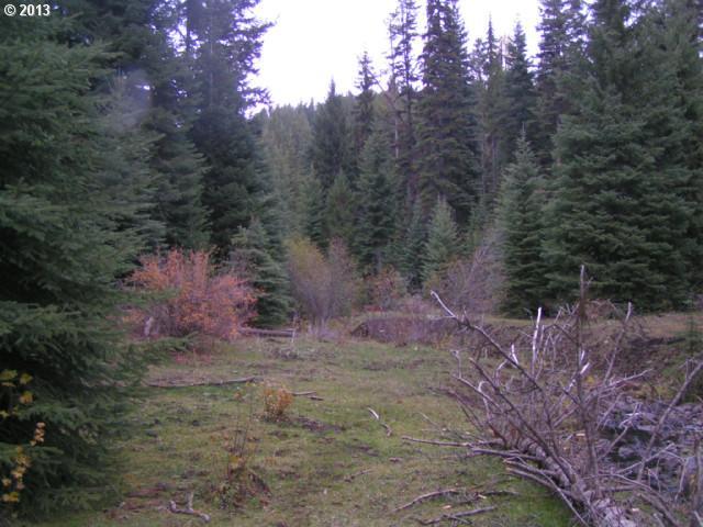 0 Lower Divide Road Joseph, OR 97846 - Photo 3 of 9