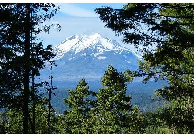 Cedar Springs Road Trout Lake, WA 98650 - Photo 2 of 14 Gallery Image 2