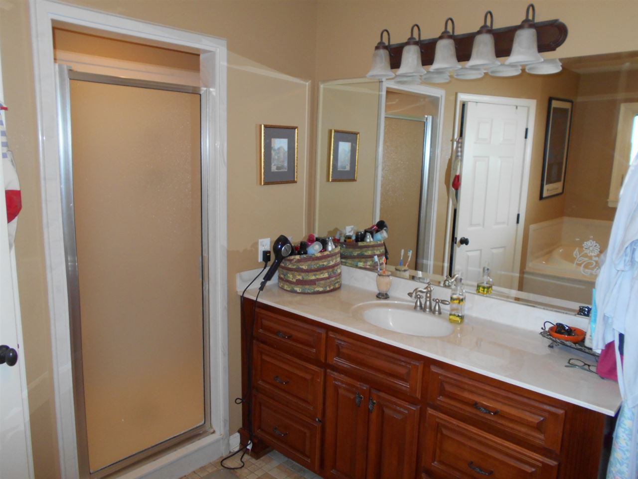 218 Marys Chapel Road Ripley, TN 38063 - Photo 10 of 25 Separate shower, double closets, and a large vanity make this the perfect master bath!