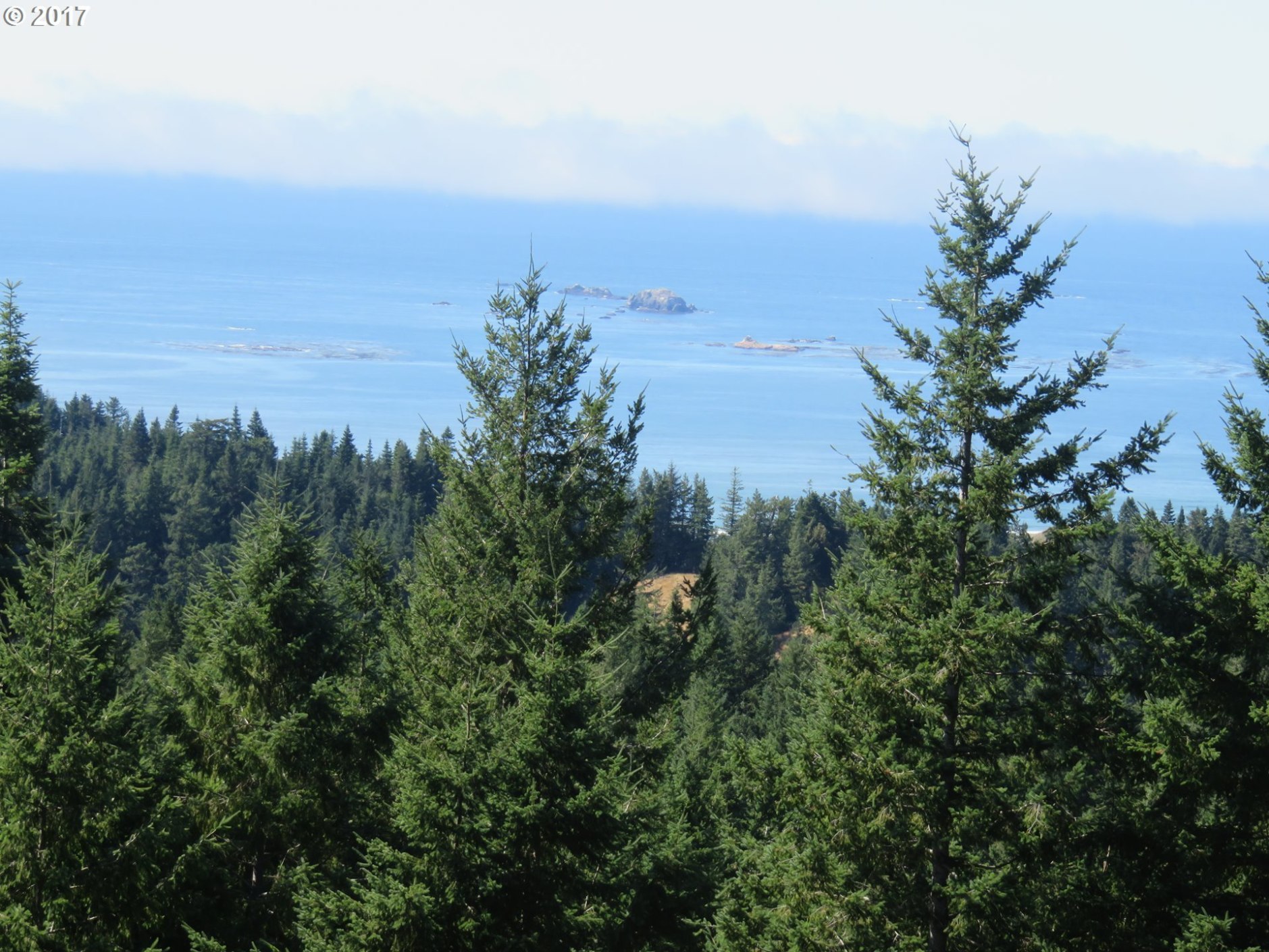 Grizzly Mountain Road, Unit 3A Gold Beach, OR 97444 - Photo 17 of 19 Gallery Image 17