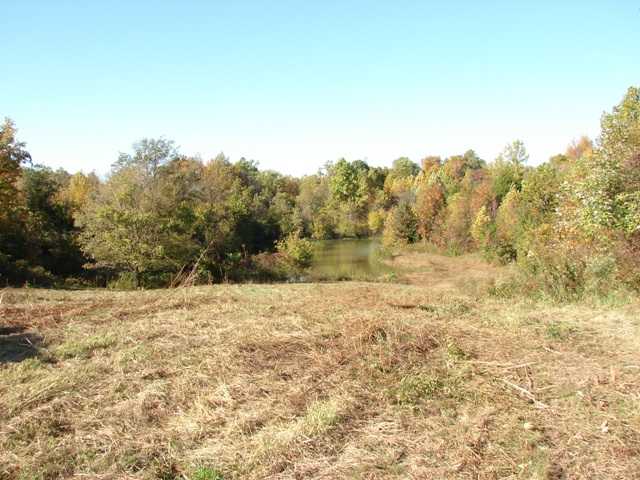 1704 Dry Hill Road West Ripley, TN 38063 - Photo 2 of 9