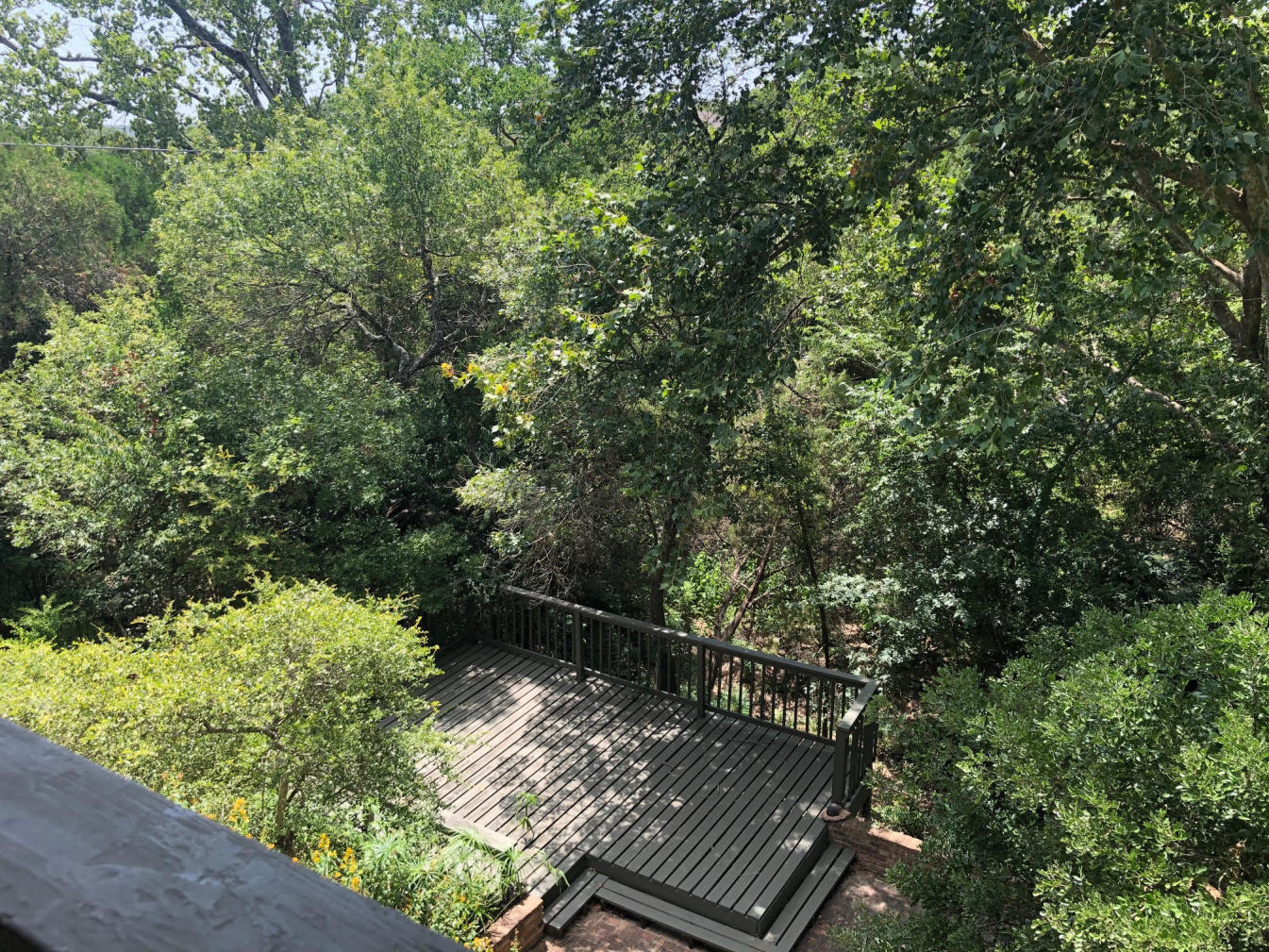 2004 Point Bluff Drive Austin, TX 78746 - Photo 21 of 23