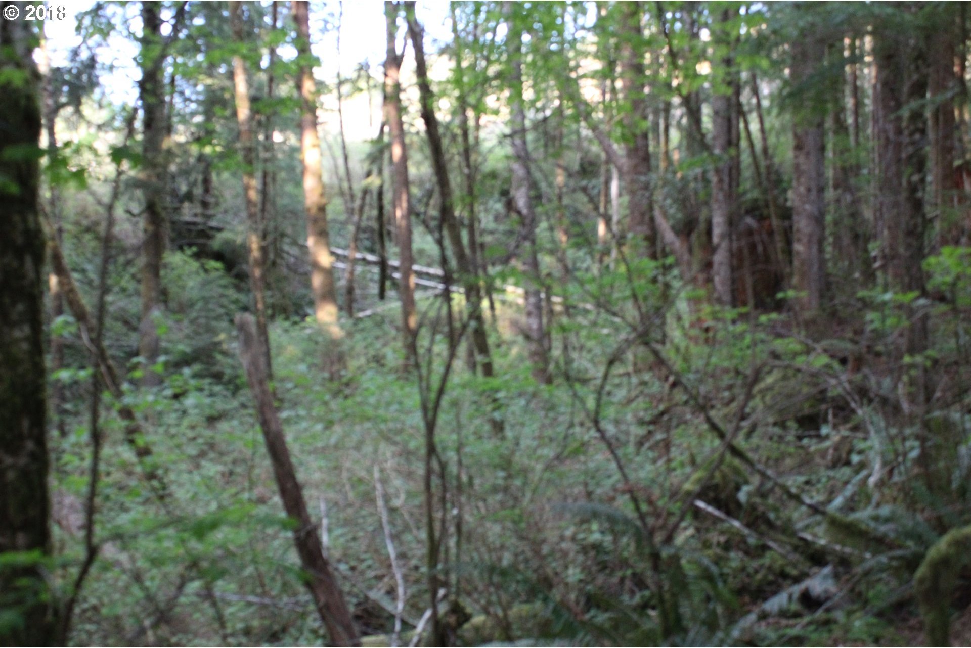 Elochoman Valley Cathlamet, WA 98612 - Photo 16 of 26