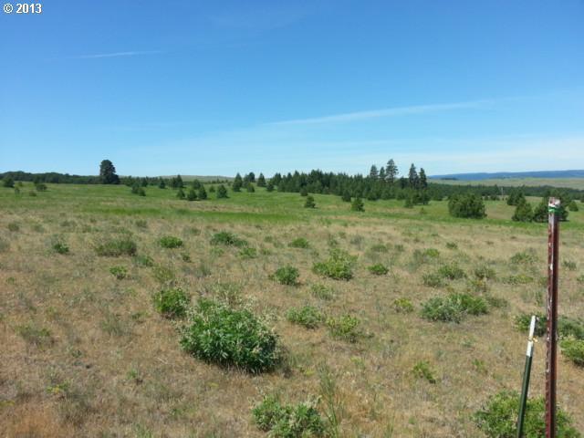 Schilling Road, Unit 113 Lyle, WA 98635 - Photo 2 of 14 Gallery Image 2
