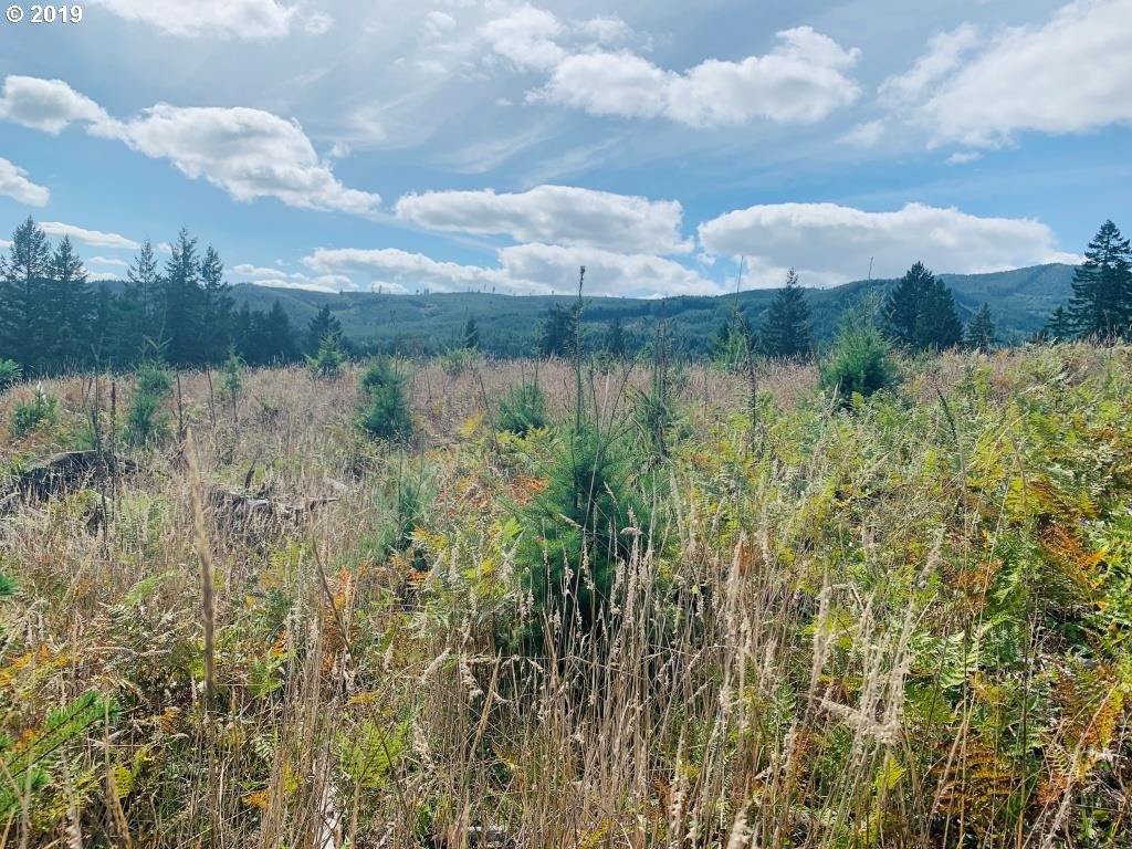 Boiler Creek Road Springfield, OR 97478 - Photo 25 of 25 Gallery Image 25