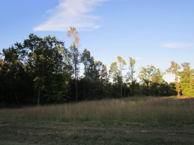2 Chisholm Lake Road Ripley, TN 38063 - Photo 2 of 3