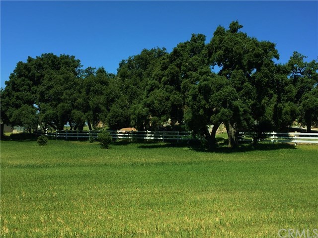 38421 Carrillo Road Fallbrook, CA 92028 - Photo 13 of 57 YOUR OWN PRIVATE OAK GROVE