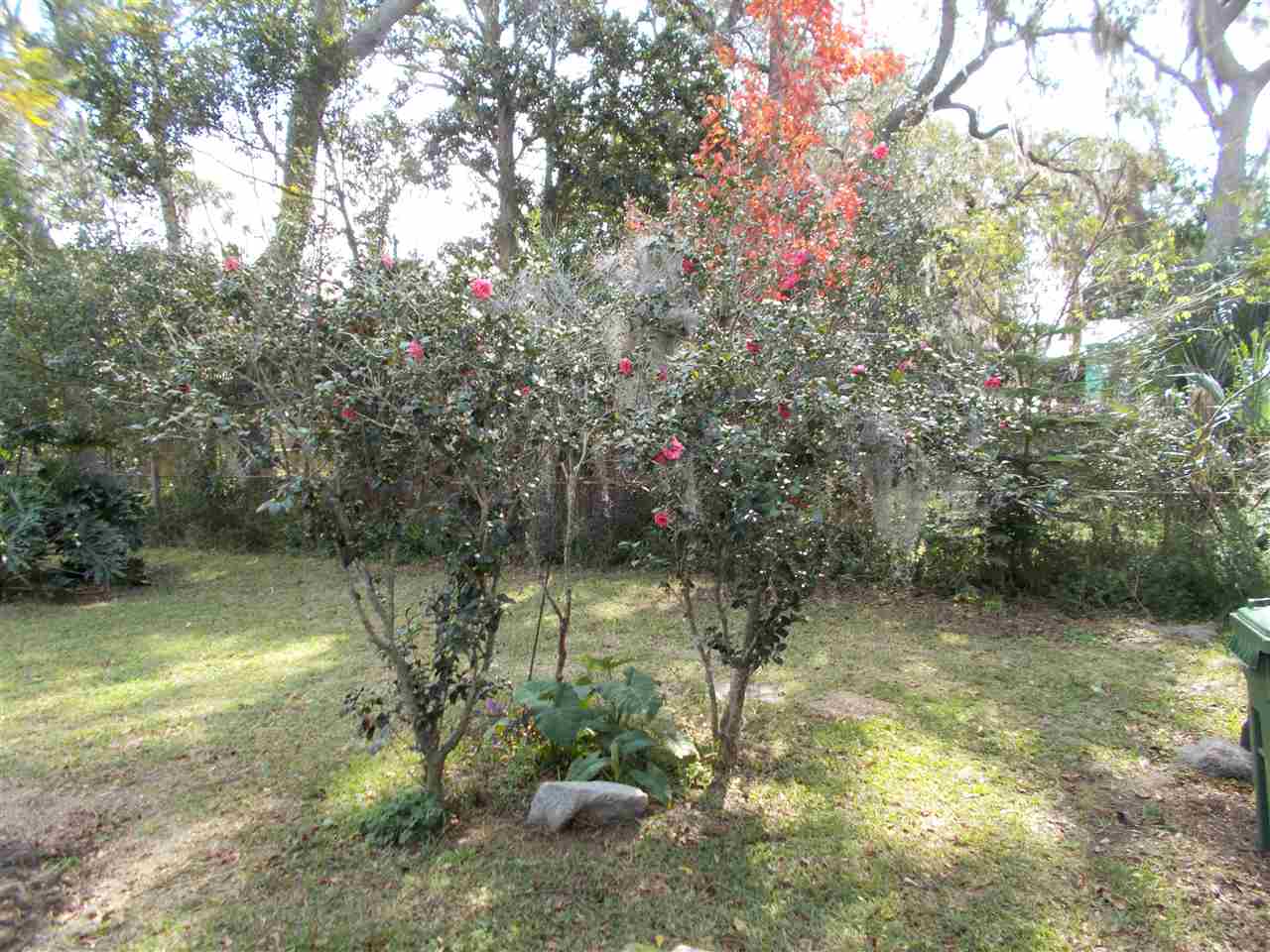 13 Oak Street St. Augustine, FL 32084 - Photo 5 of 12