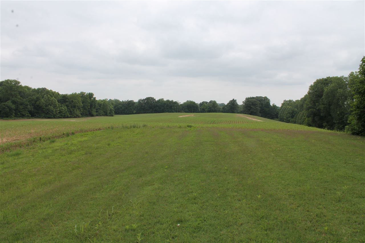1047 Asbury Road Ripley, TN 38063 - Photo 11 of 12 36.34 ac of beautiful countryside