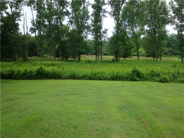 7833 Mt Joy Road Mount Pleasant, TN 38474 - Photo 21 of 30 Private Backyard