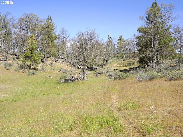 Orchard Heights Road Goldendale, WA 98620 - Photo 9 of 14 Gallery Image 9