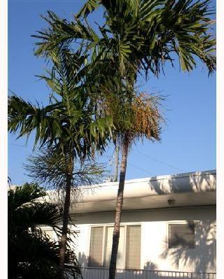 320 86th Street, Unit 3 Miami Beach, FL 33141 - Photo 11 of 14