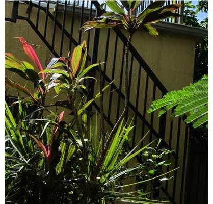 2953 Southwest 17th Street Miami, FL 33145 - Photo 19 of 25