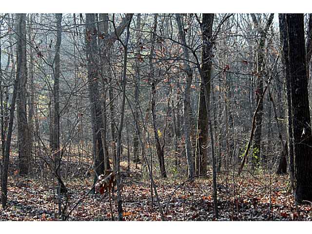 12134 Donelson Road Arlington, TN 38002 - Photo 7 of 25 Gallery Image 7