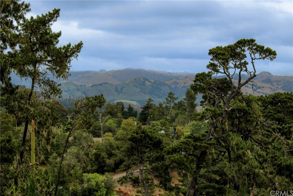 2581 Emerson Road Cambria, CA 93428 - Photo 26 of 31