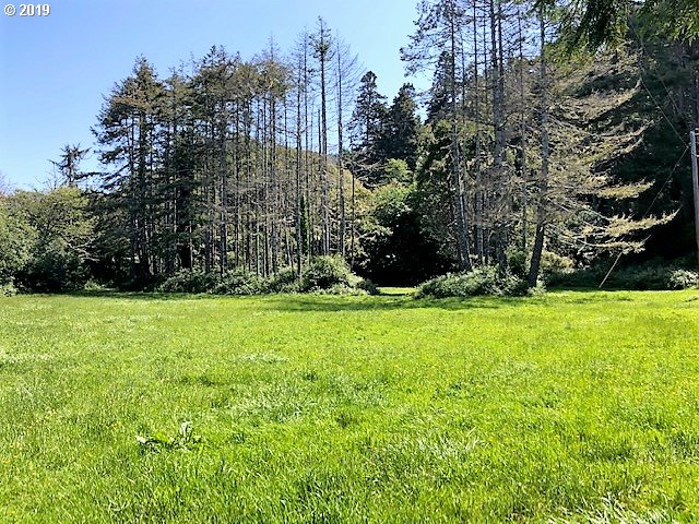 36939 Arizona Ranch Road Port Orford, OR 97465 - Photo 2 of 10 Gallery Image 2