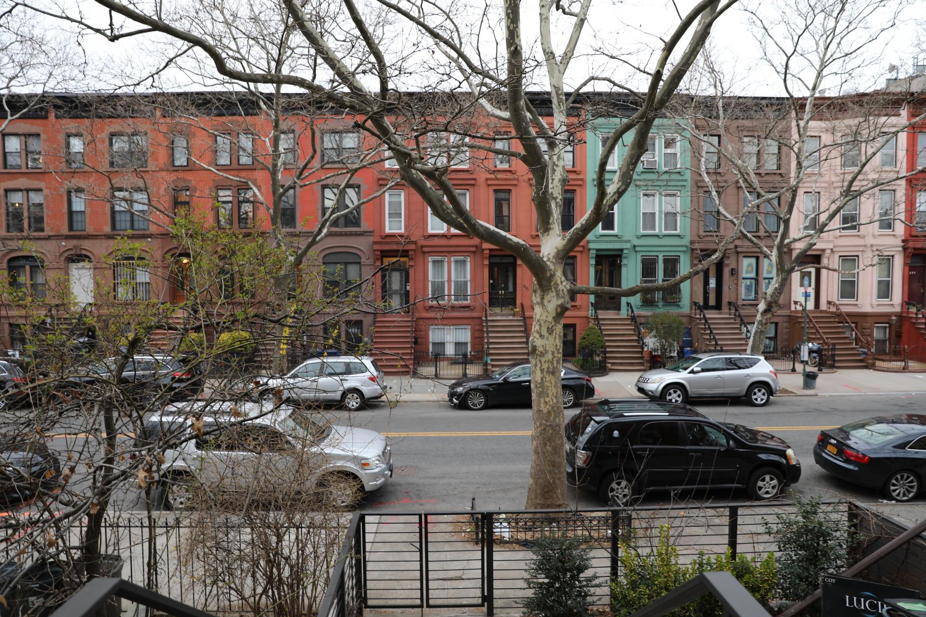 316 Halsey Street Brooklyn, NY 11216 - Photo 22 of 23